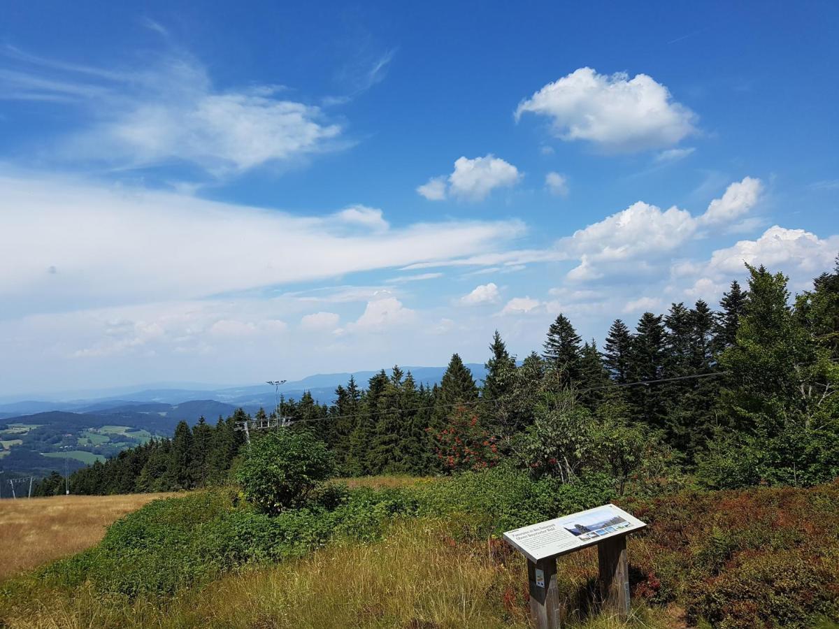 סנקט אנגלמר Traumurlaub Im Bayerische Wald מראה חיצוני תמונה
