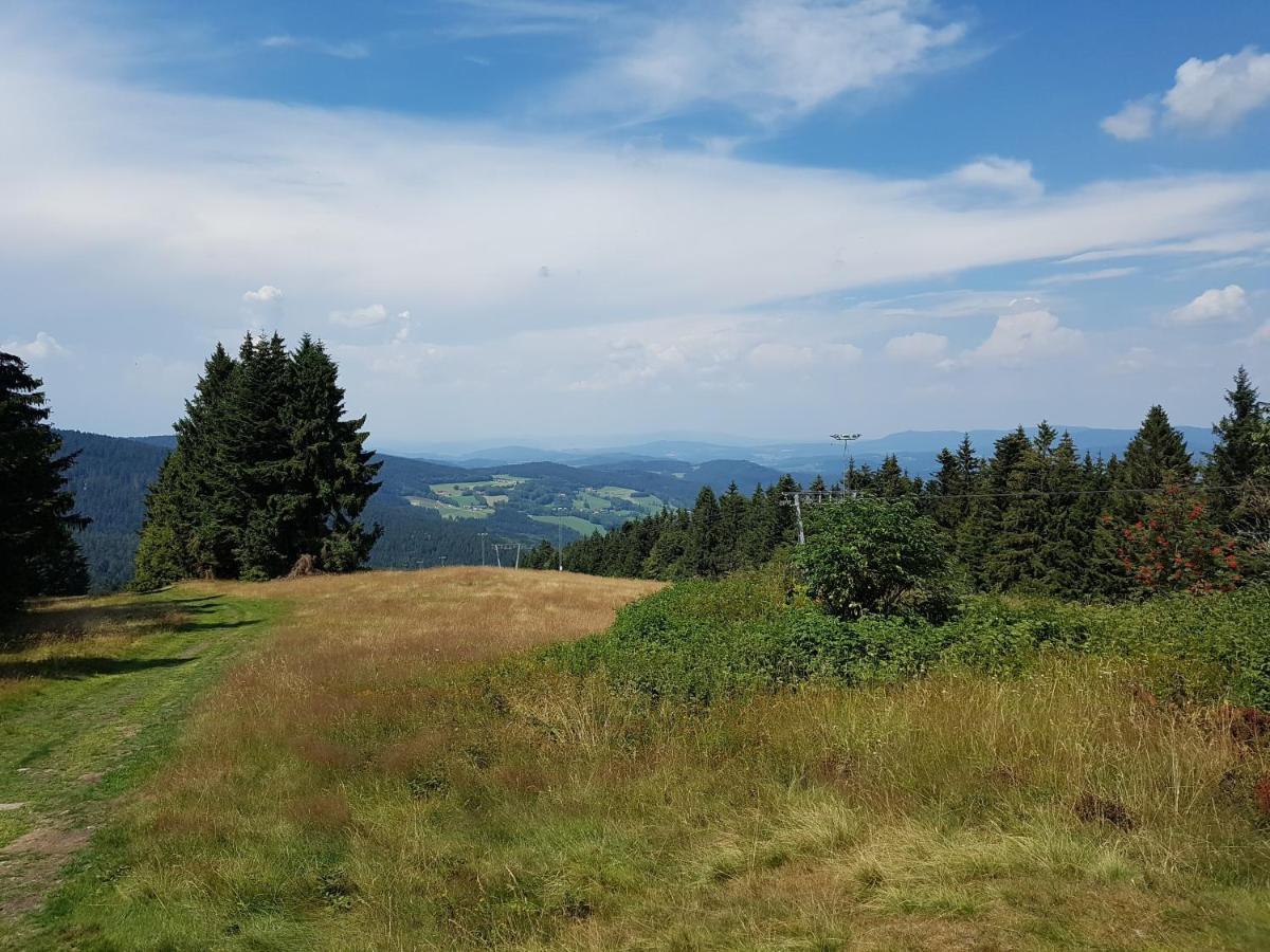 סנקט אנגלמר Traumurlaub Im Bayerische Wald מראה חיצוני תמונה